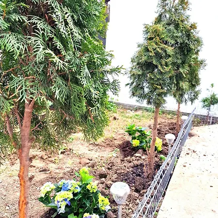 Aparthotel Azzure 3*