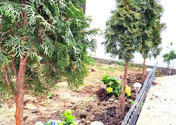 Apart-hotel Azzure 3*